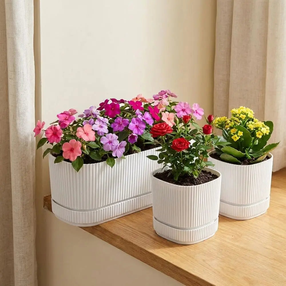 Modern Self-Watering Desktop Planter