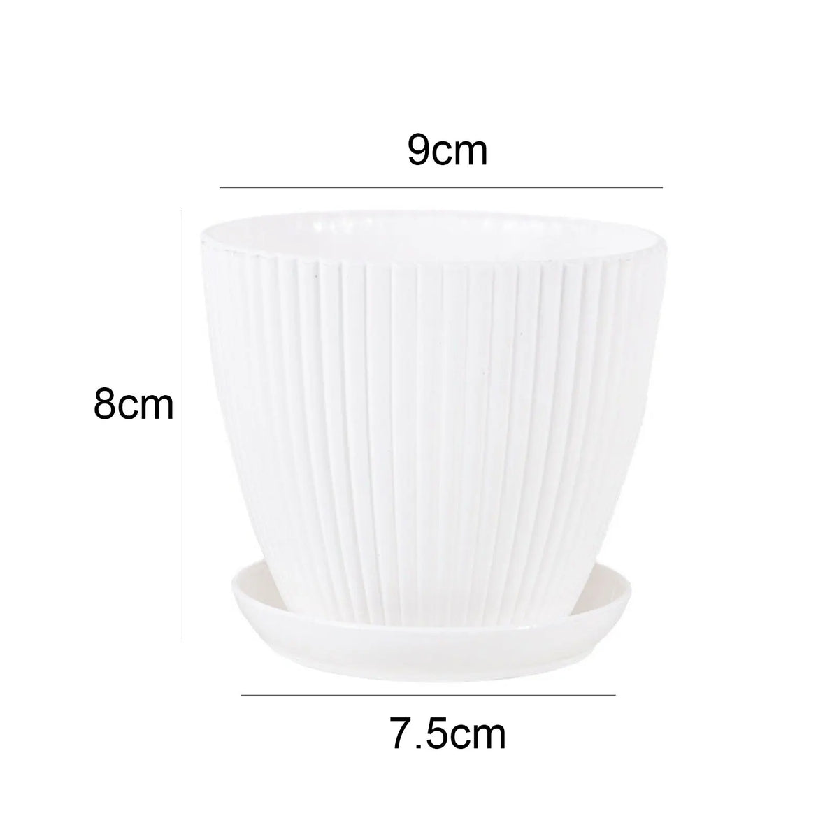 Minimalist Succulent Planter with Drainage Tray