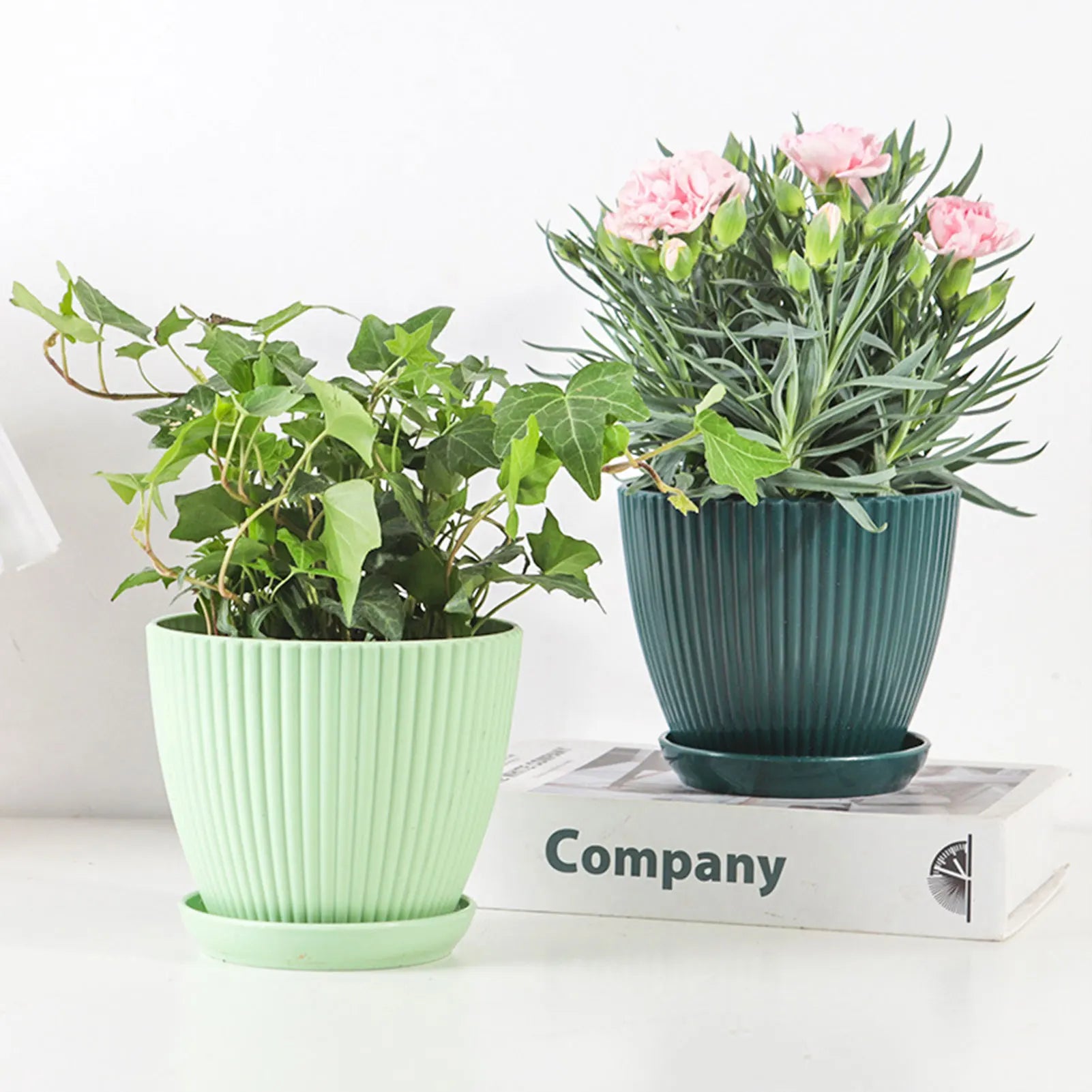 Minimalist Succulent Planter with Drainage Tray
