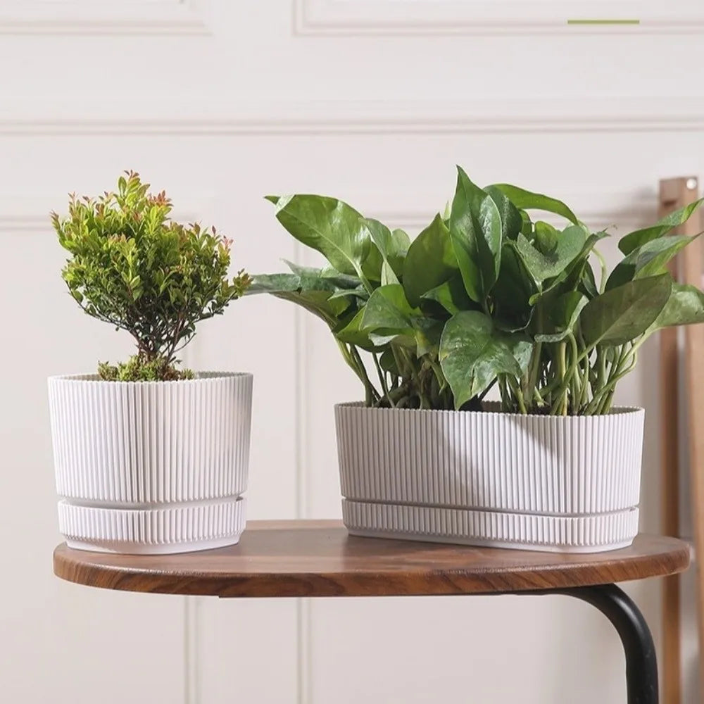 Modern Self-Watering Desktop Planter