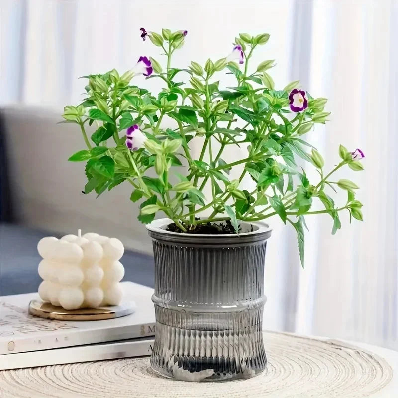 ClearView Self-Watering Planter