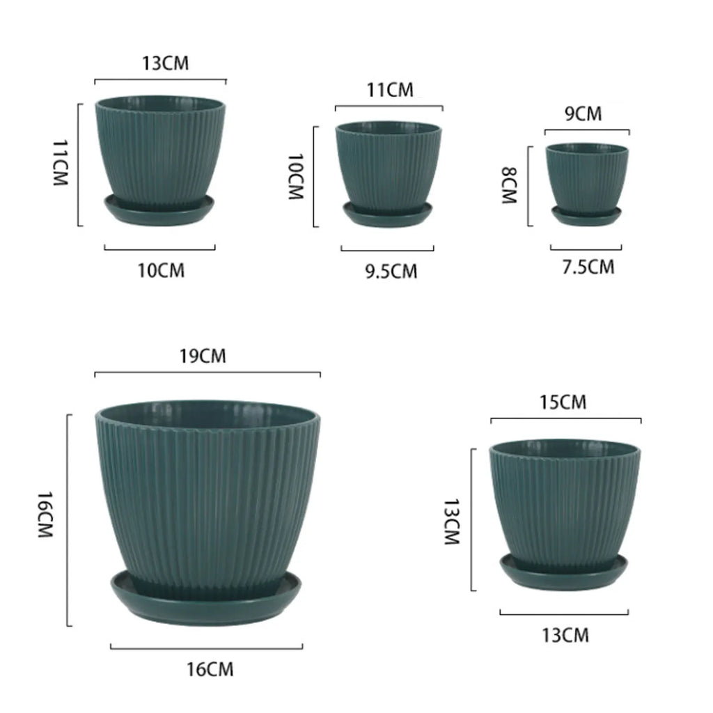 Minimalist Succulent Planter with Drainage Tray