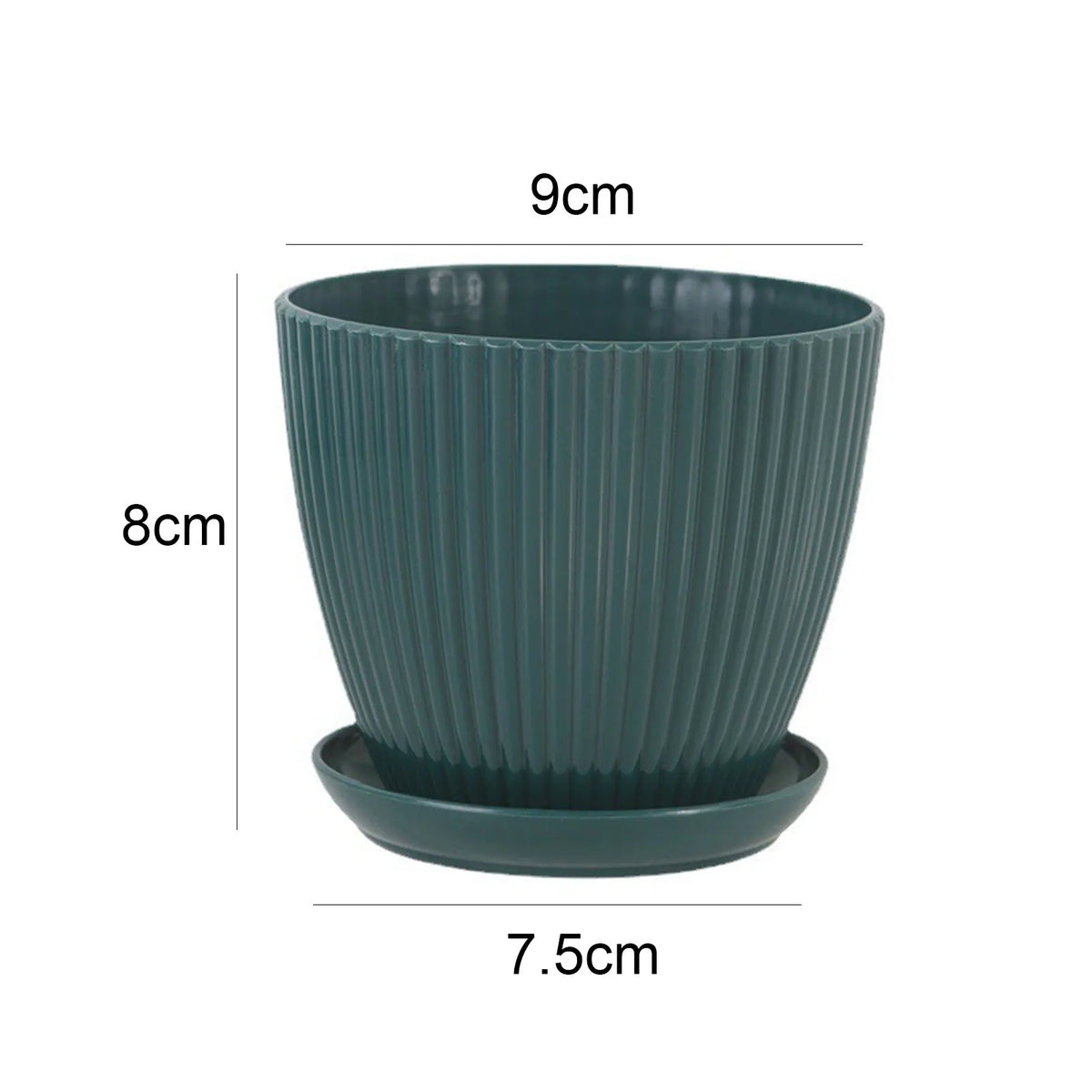 Minimalist Succulent Planter with Drainage Tray