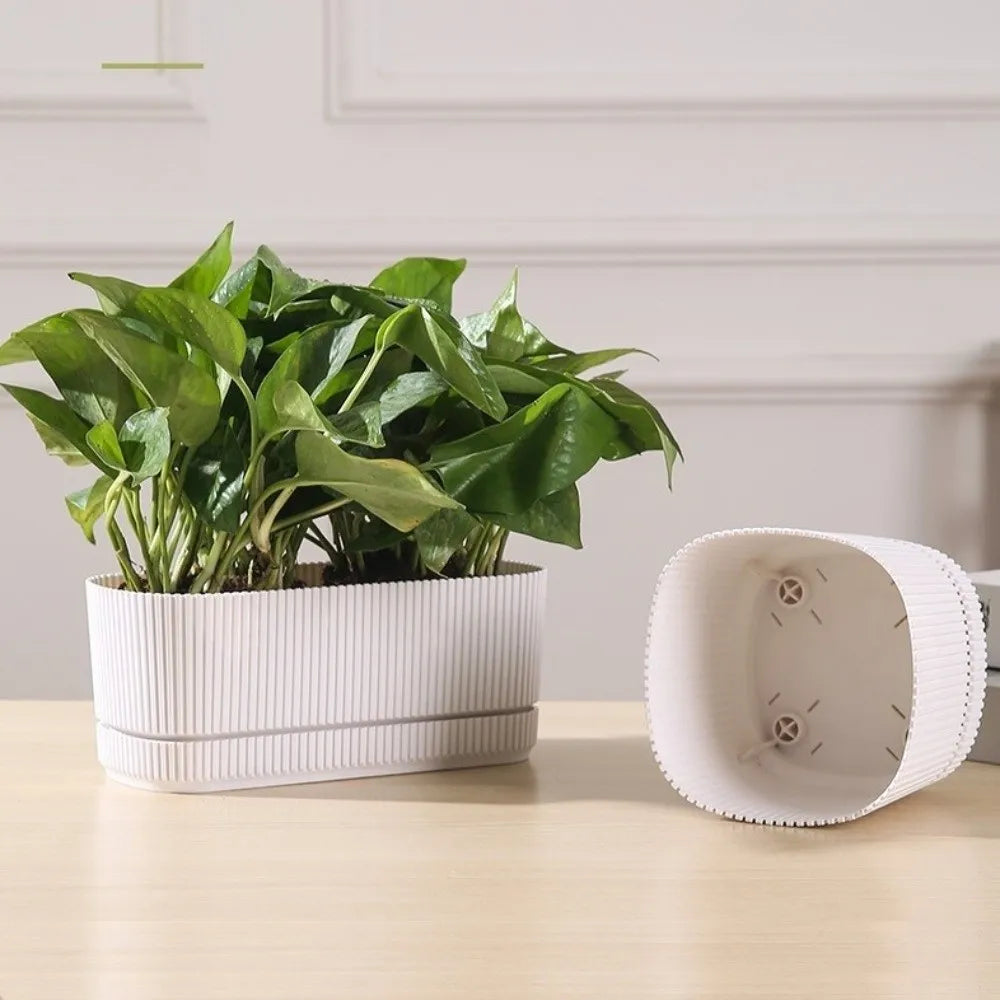 Modern Self-Watering Desktop Planter
