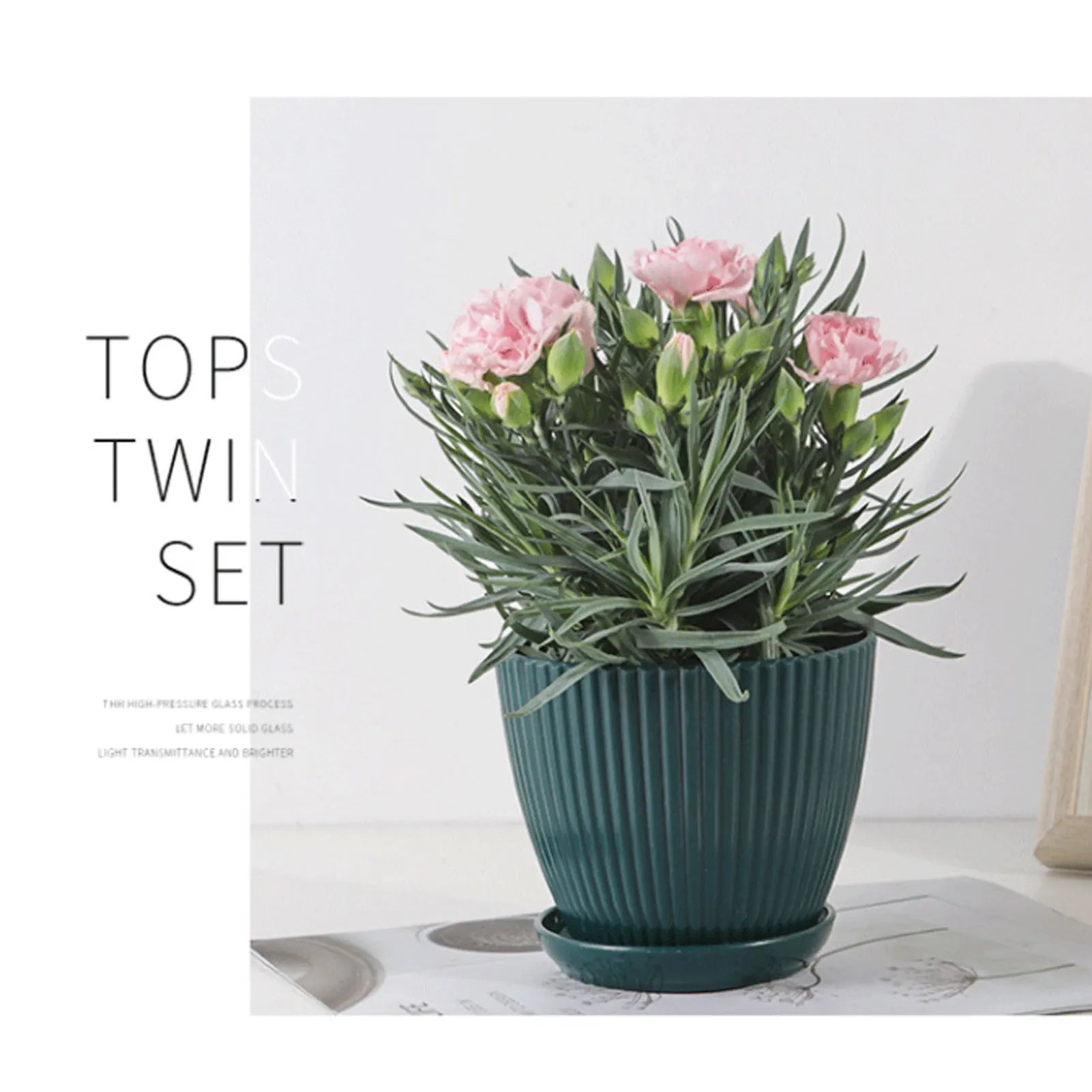 Minimalist Succulent Planter with Drainage Tray