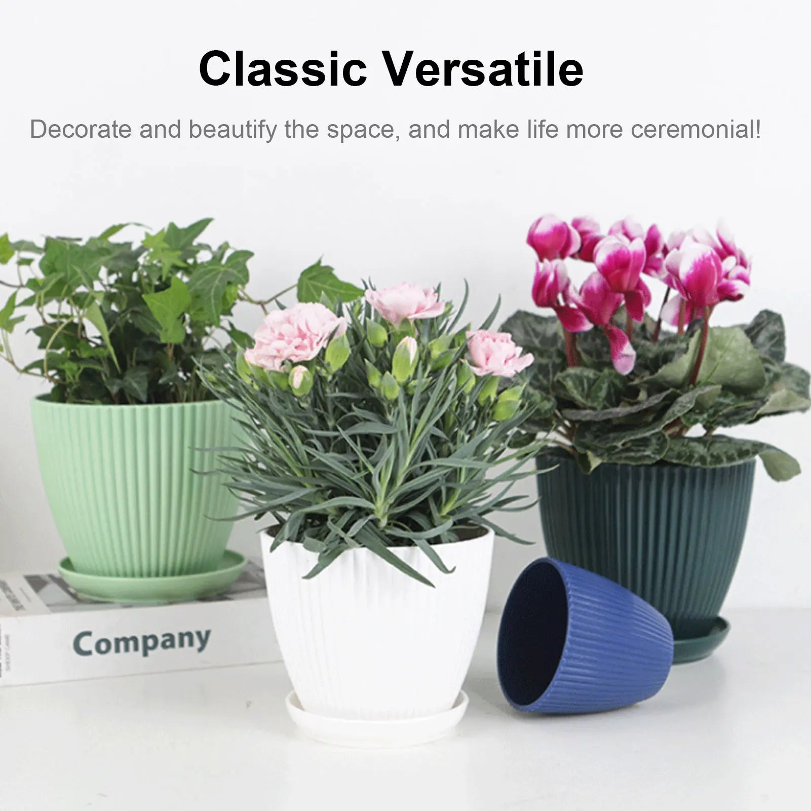 Minimalist Succulent Planter with Drainage Tray