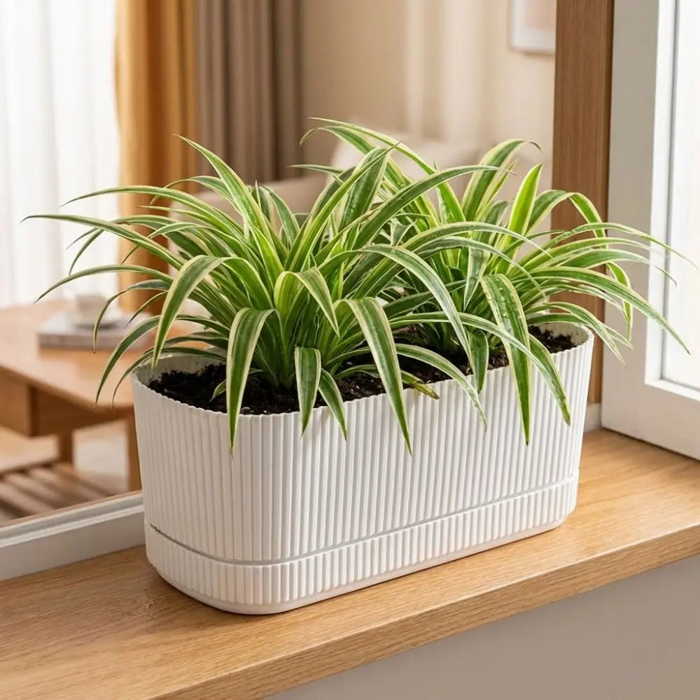 Modern Self-Watering Desktop Planter