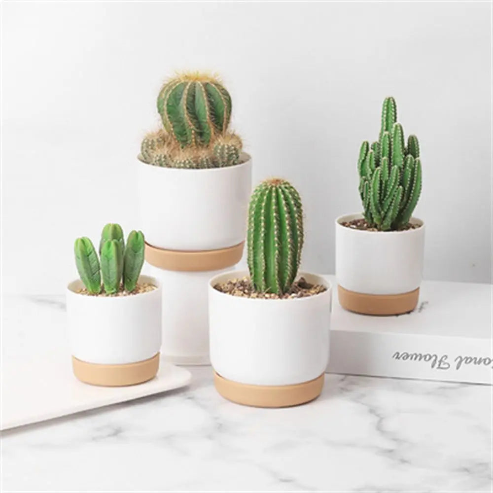 Minimalist Self-Watering Succulent Planter