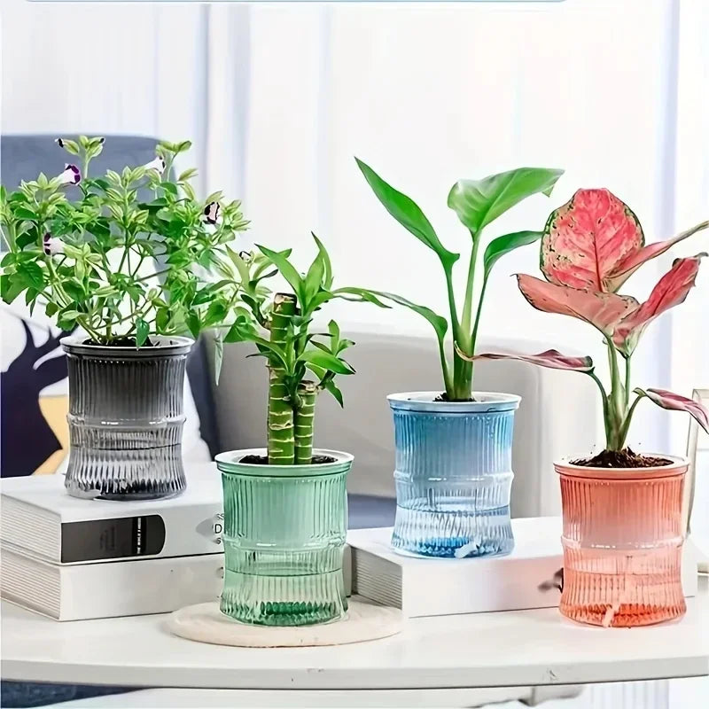 ClearView Self-Watering Planter