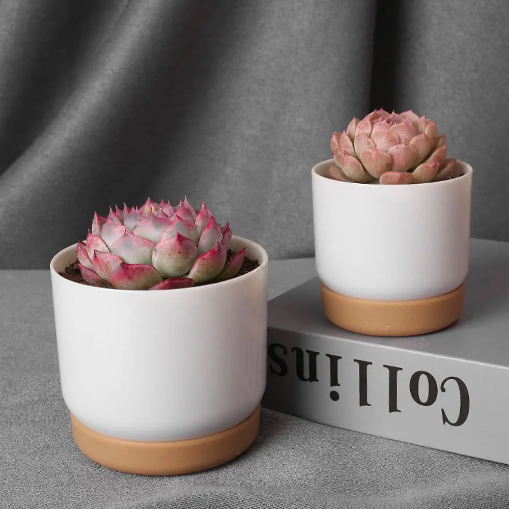 Minimalist Self-Watering Succulent Planter