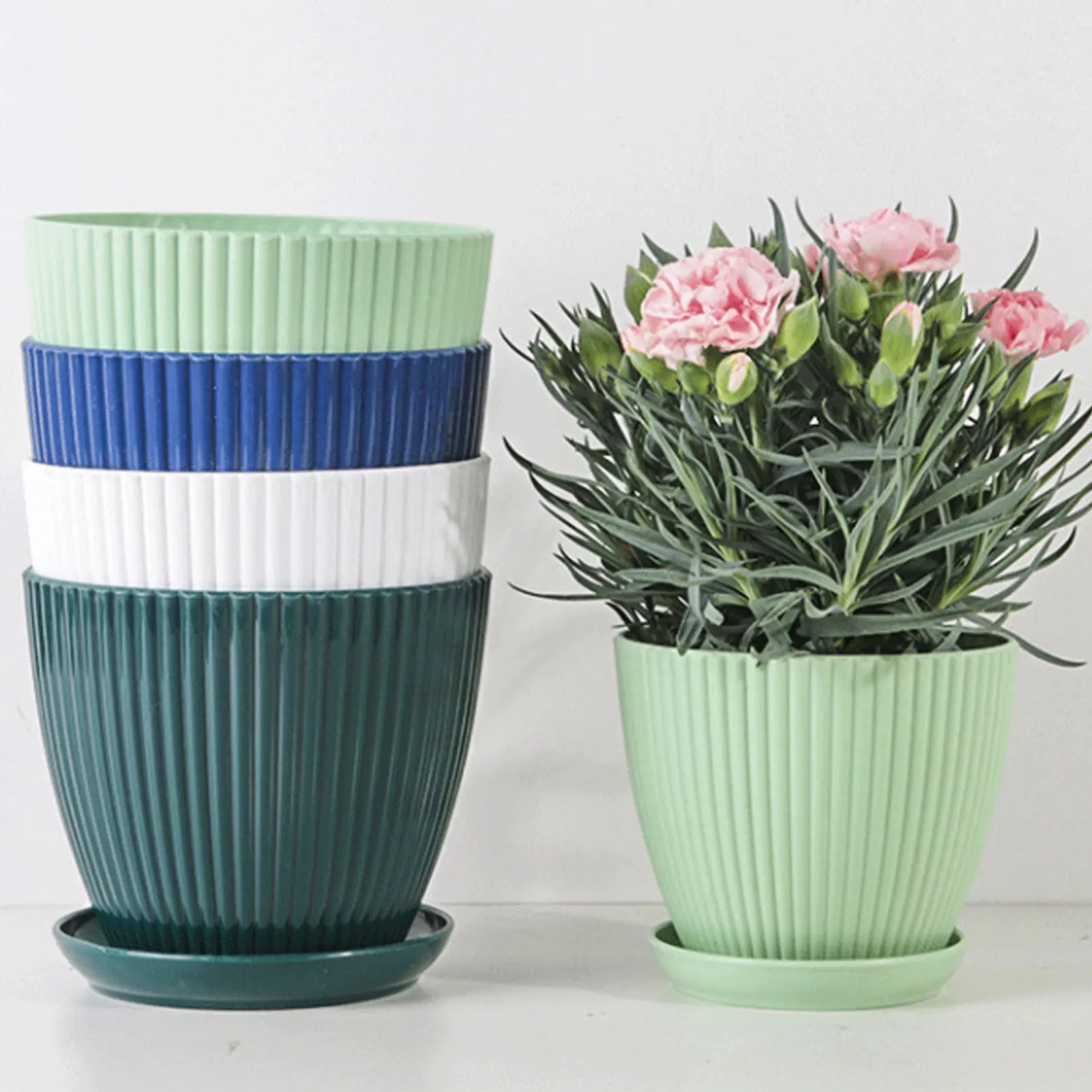 Minimalist Succulent Planter with Drainage Tray