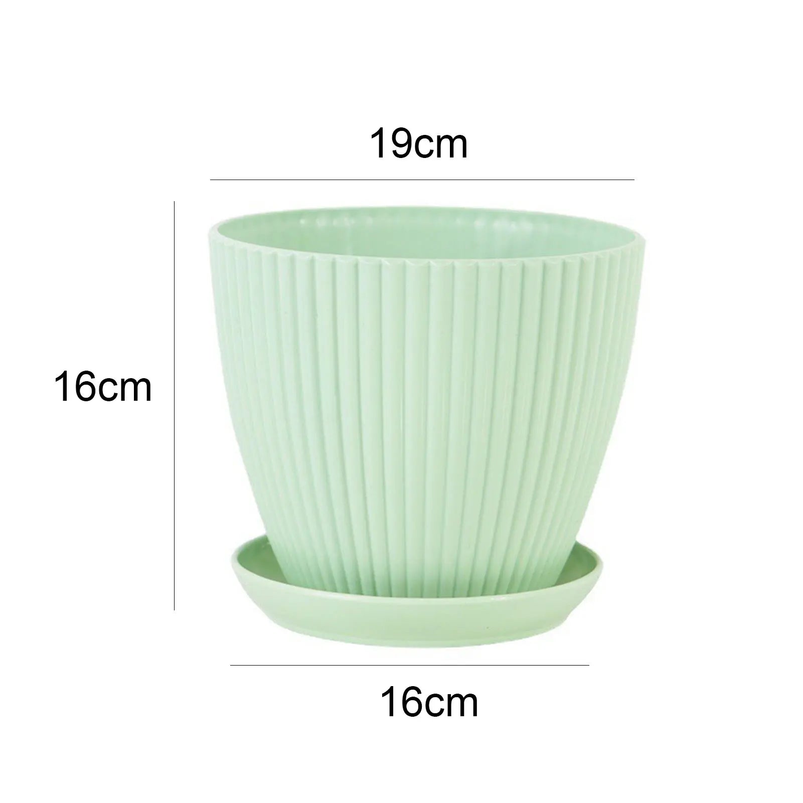 Minimalist Succulent Planter with Drainage Tray