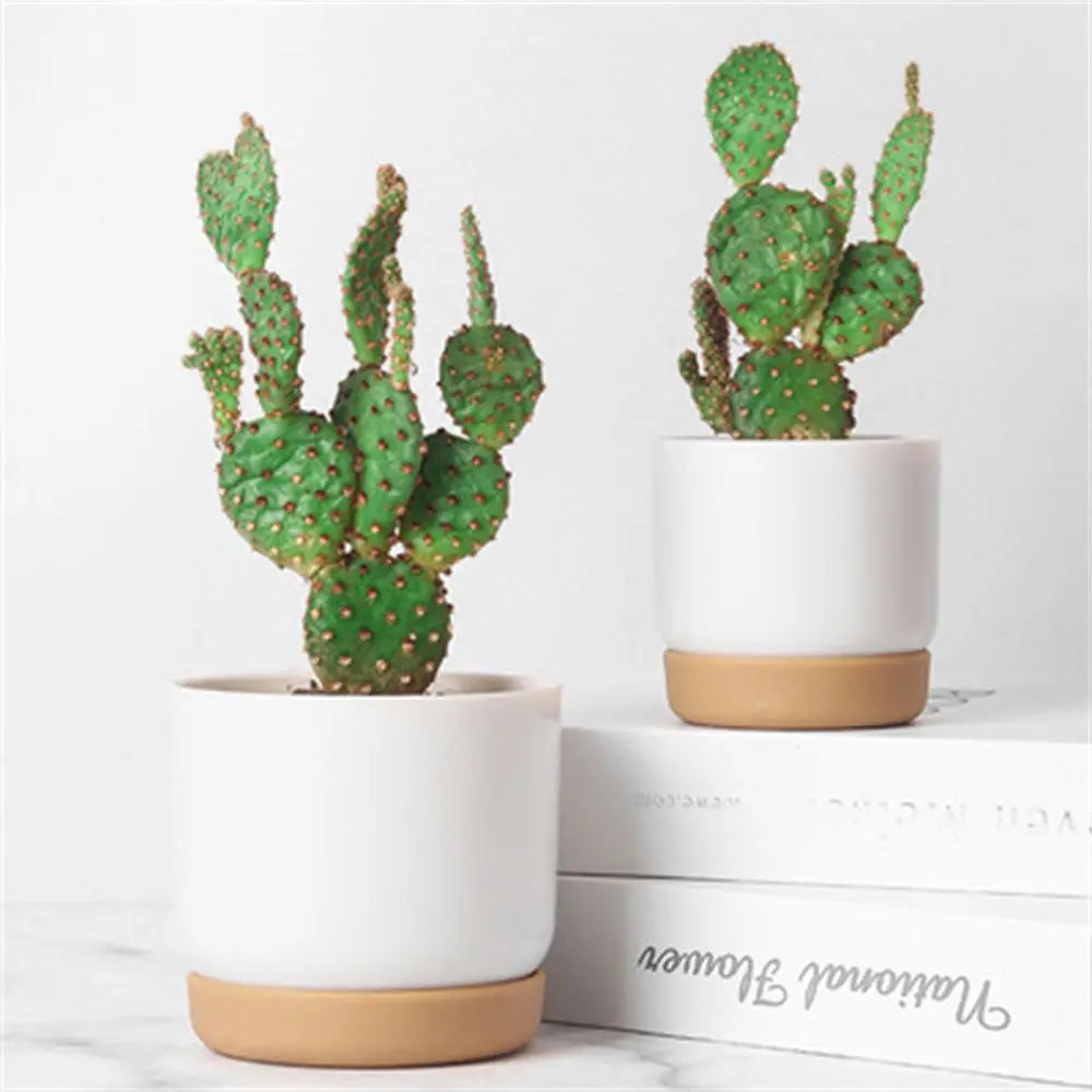 Minimalist Self-Watering Succulent Planter
