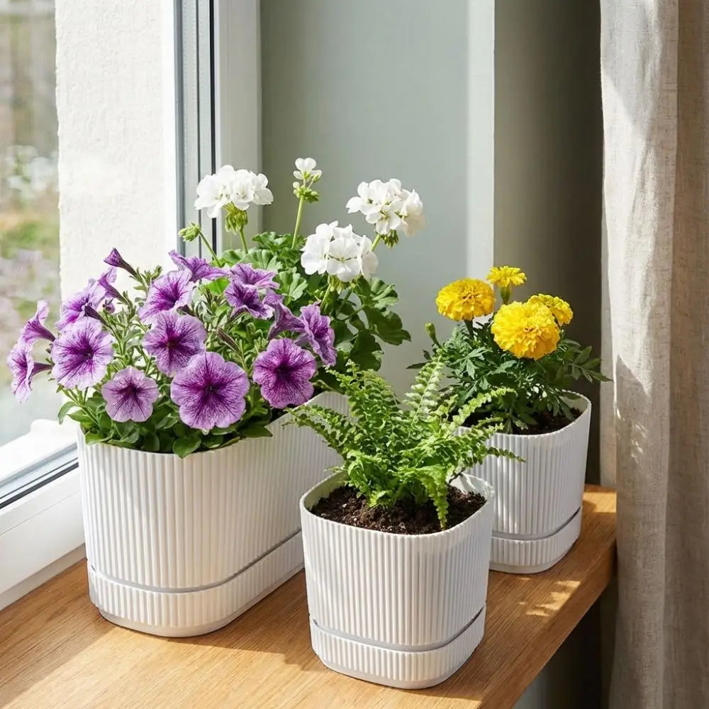 Modern Self-Watering Desktop Planter