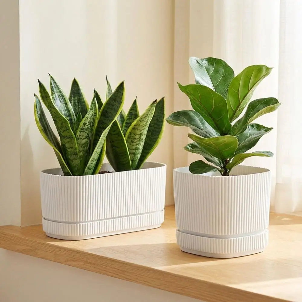 Modern Self-Watering Desktop Planter