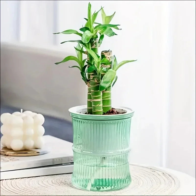 ClearView Self-Watering Planter
