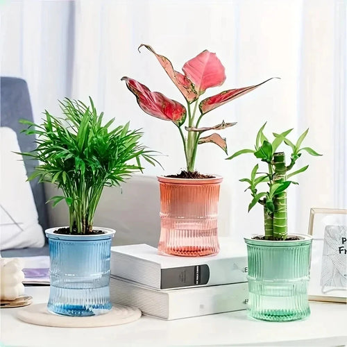 ClearView Self-Watering Planter
