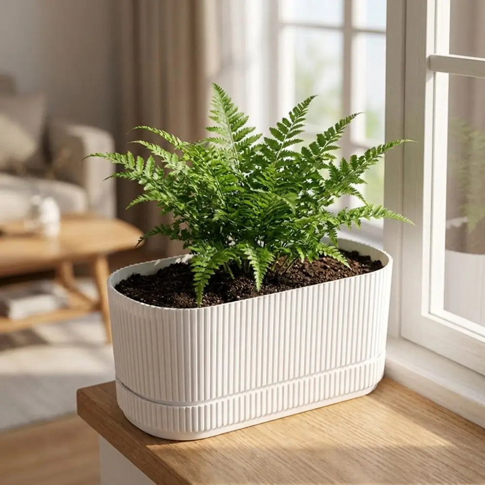 Modern Self-Watering Desktop Planter