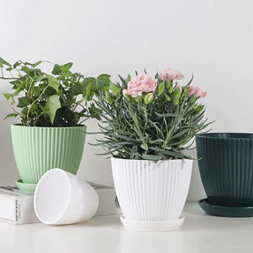 Minimalist Succulent Planter with Drainage Tray