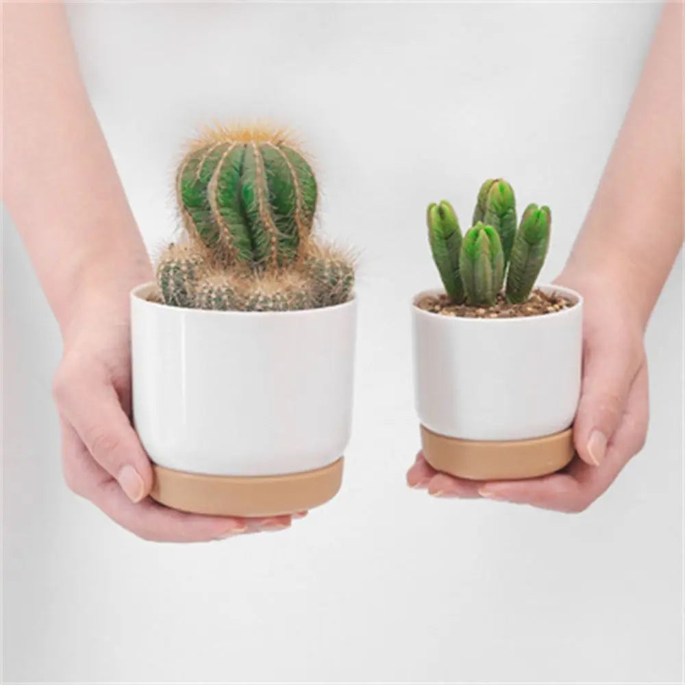 Minimalist Self-Watering Succulent Planter