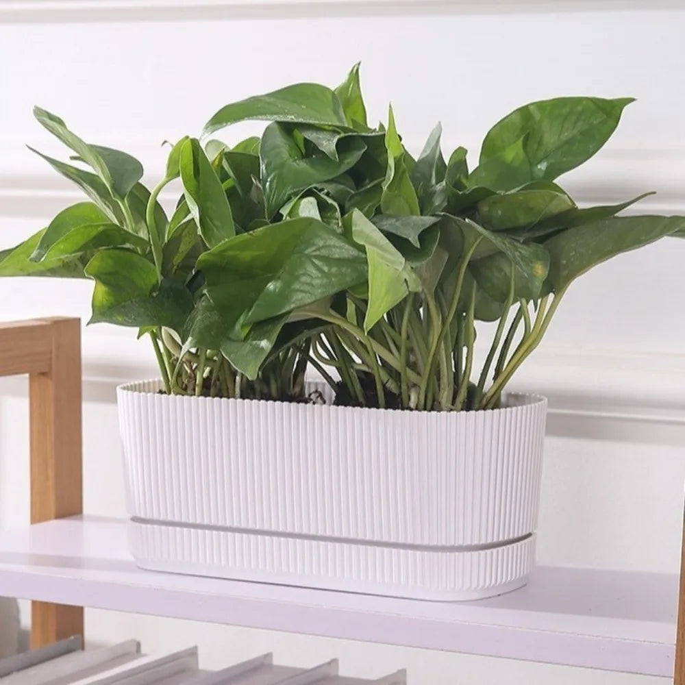 Modern Self-Watering Desktop Planter