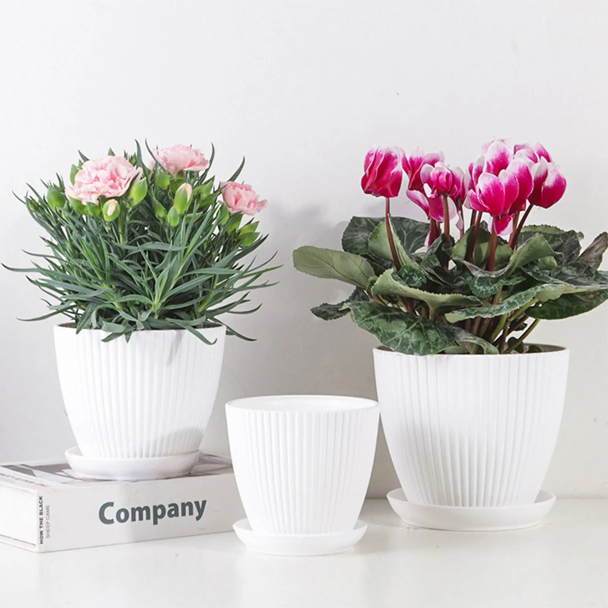 Minimalist Succulent Planter with Drainage Tray